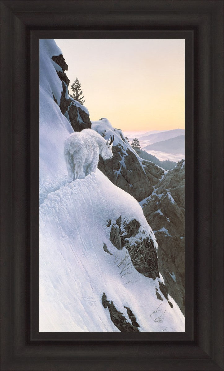 High Trail at Sunset