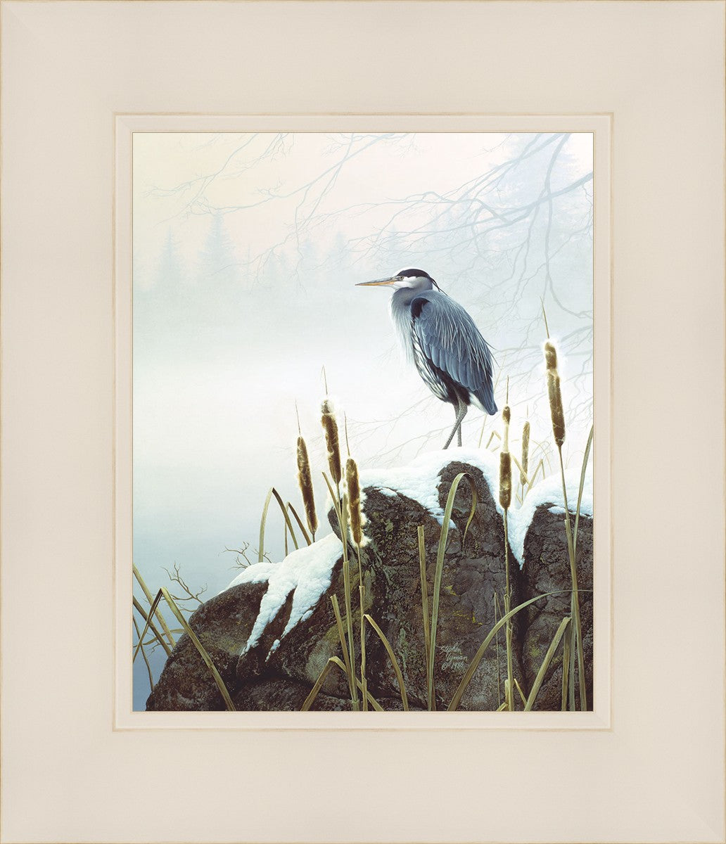 Morning Solitude