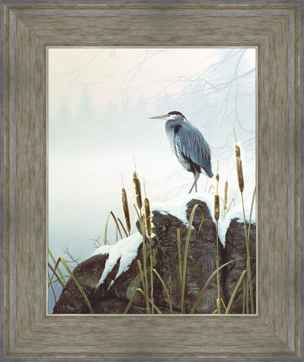 Morning Solitude