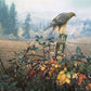 The Raptor's Watch