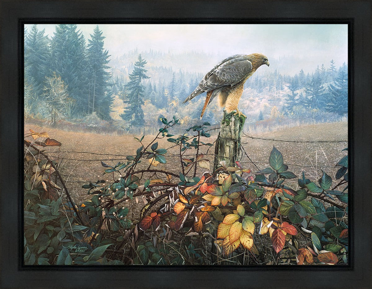 The Raptor's Watch