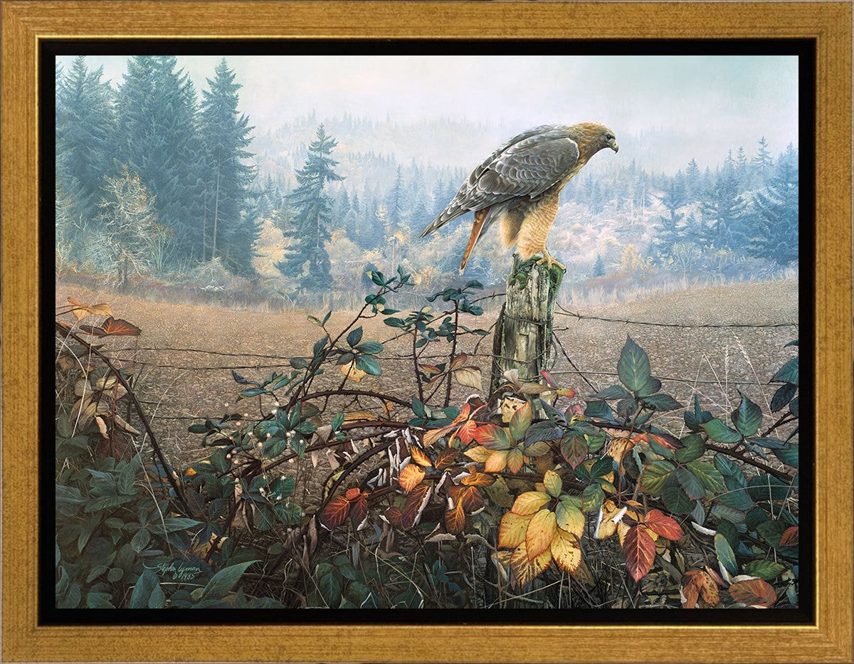 The Raptor's Watch