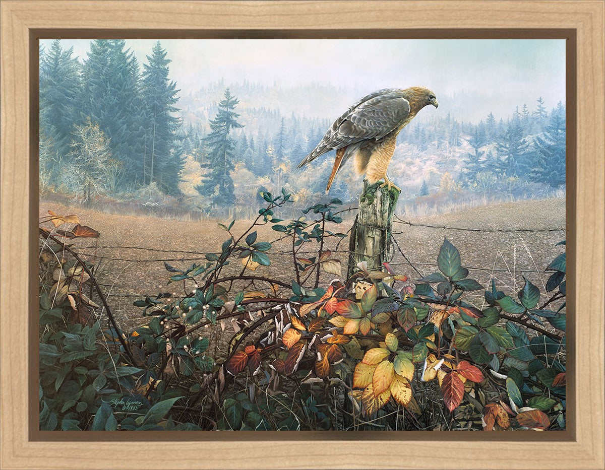 The Raptor's Watch