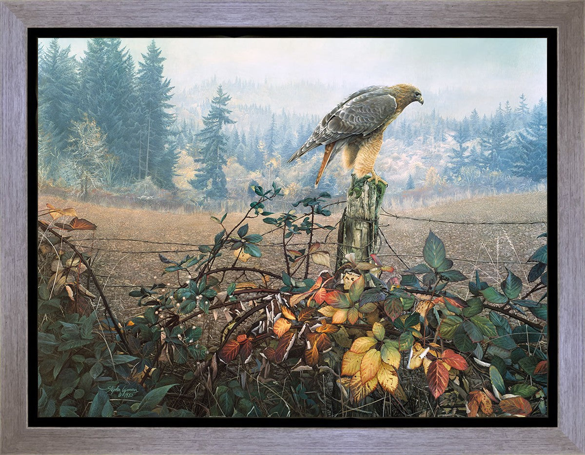 The Raptor's Watch