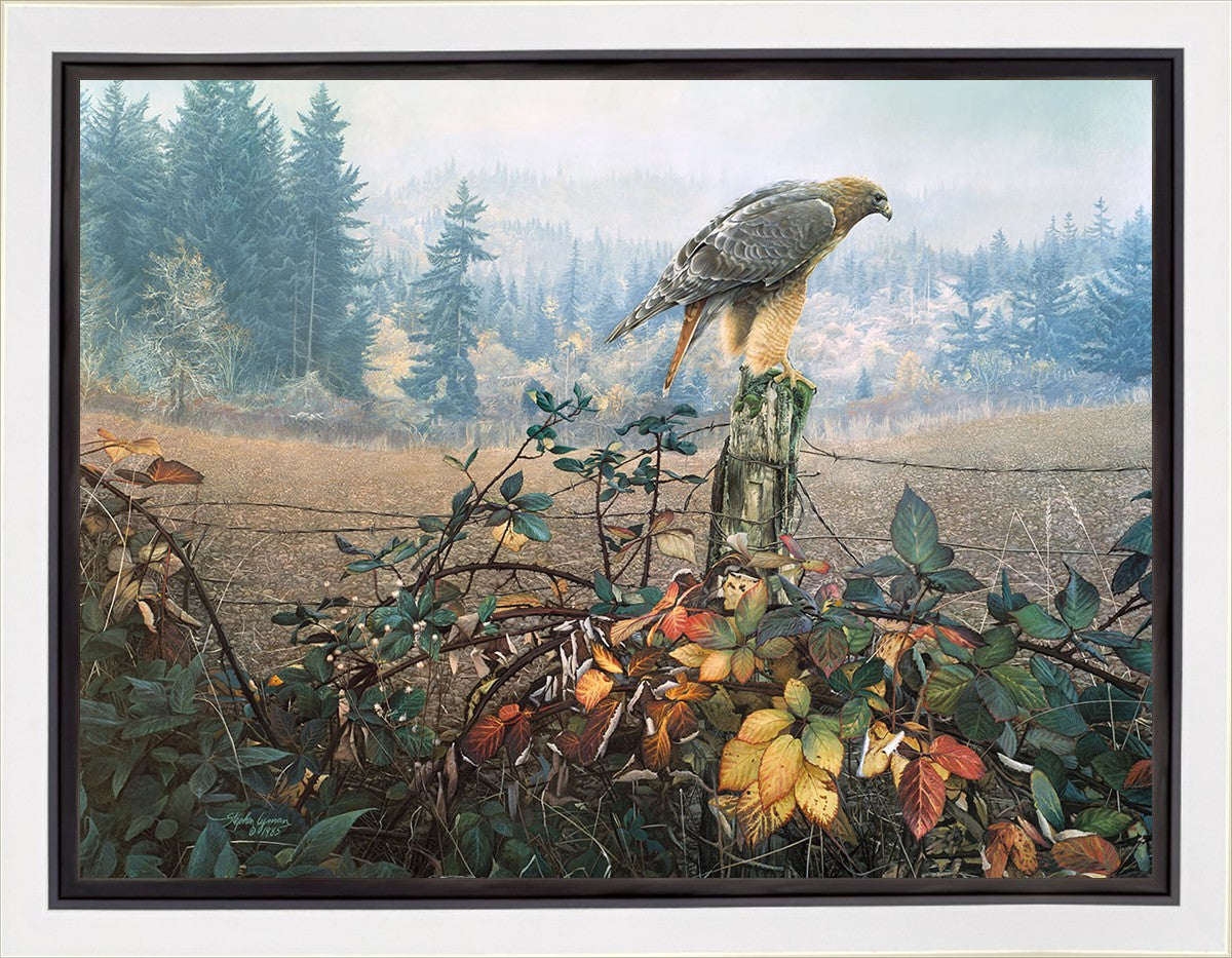 The Raptor's Watch