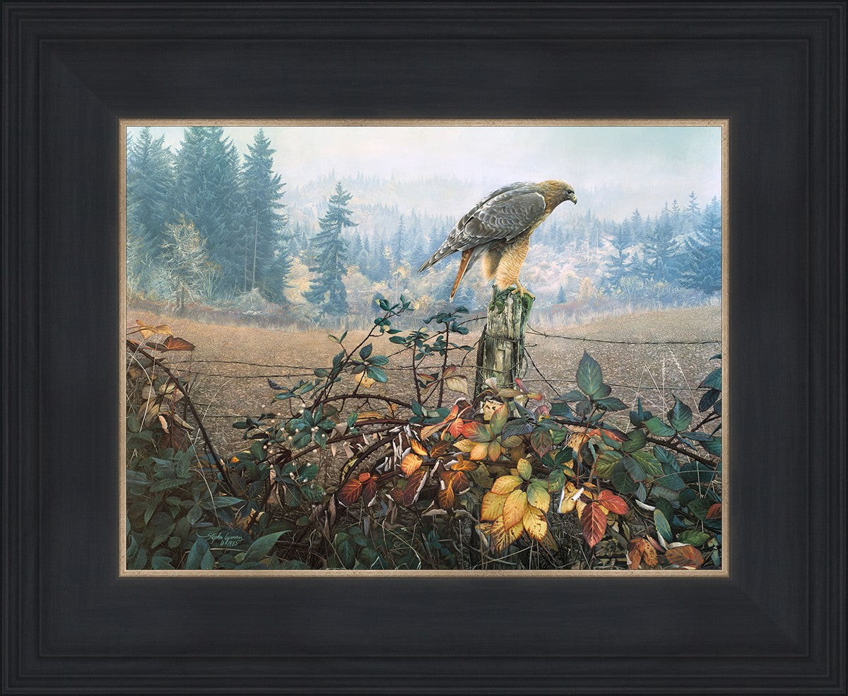 The Raptor's Watch