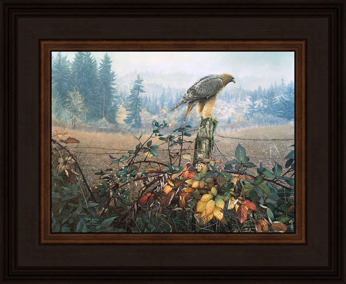 The Raptor's Watch