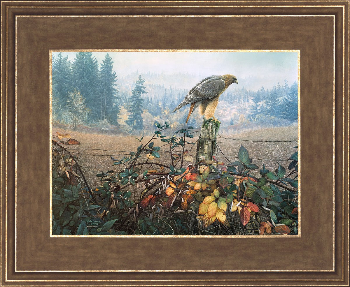 The Raptor's Watch