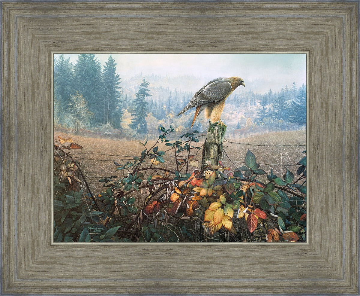 The Raptor's Watch