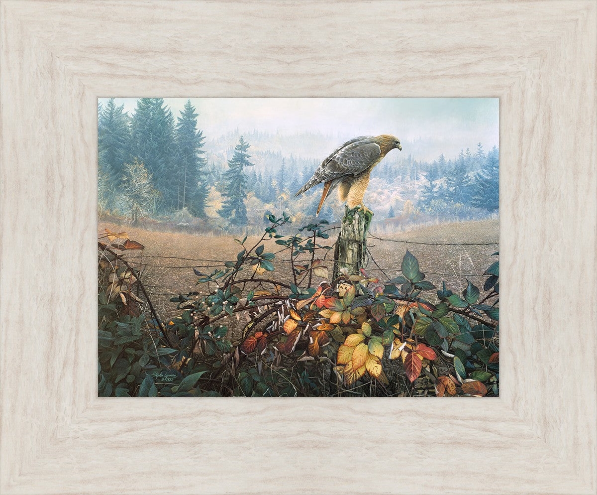 The Raptor's Watch