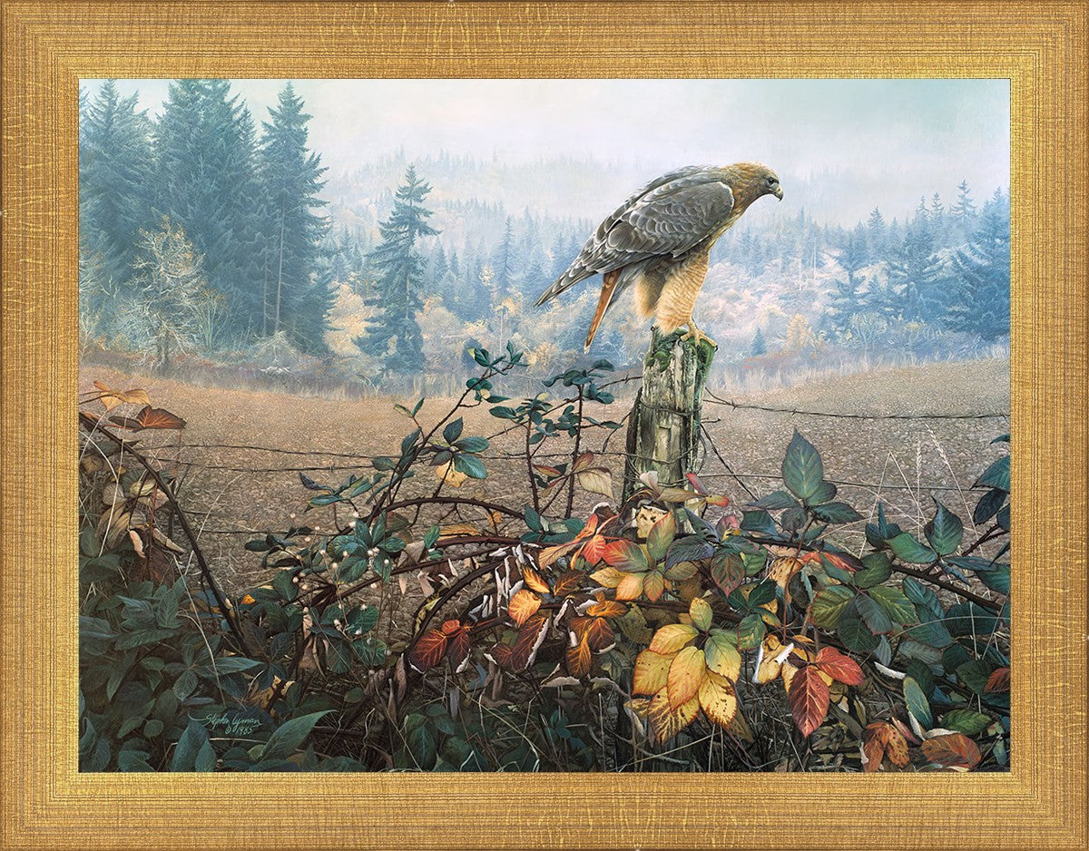 The Raptor's Watch