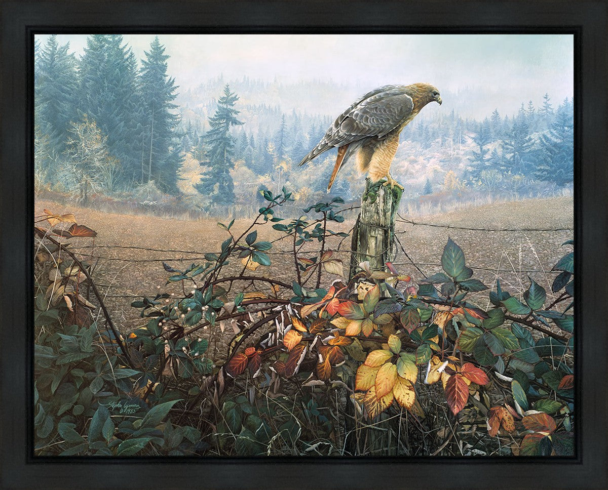 The Raptor's Watch