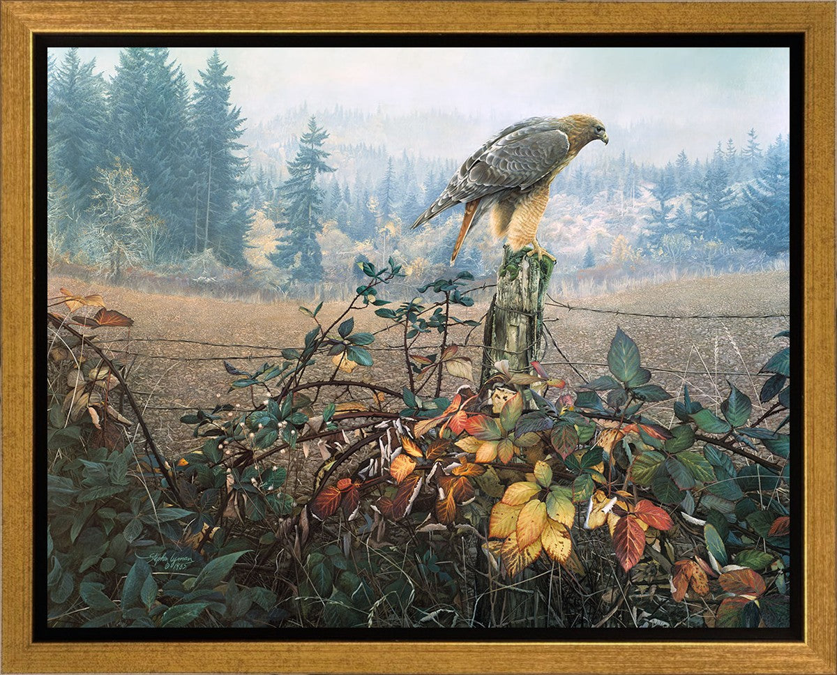 The Raptor's Watch