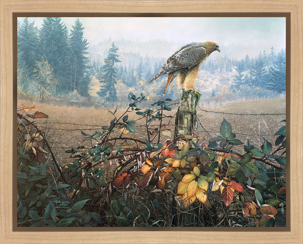 The Raptor's Watch