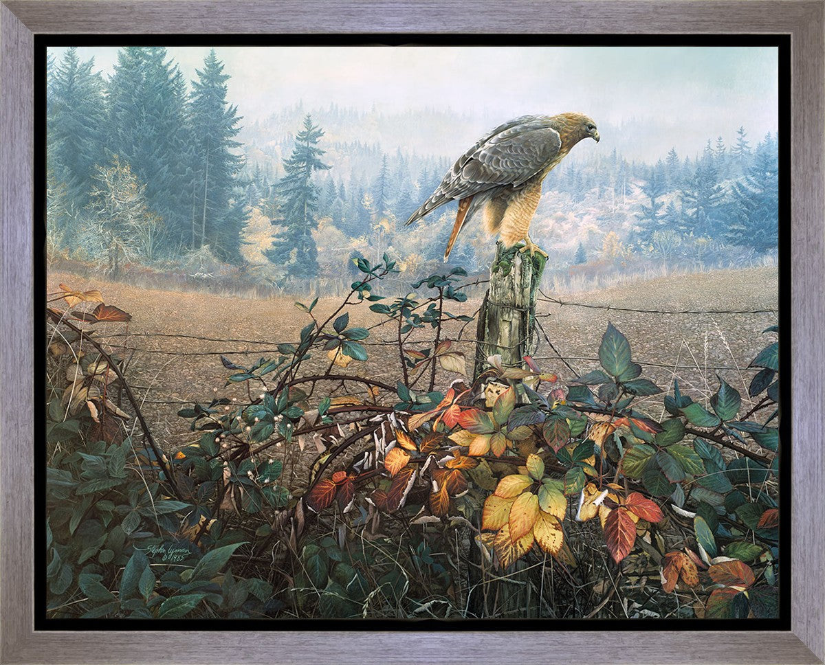 The Raptor's Watch