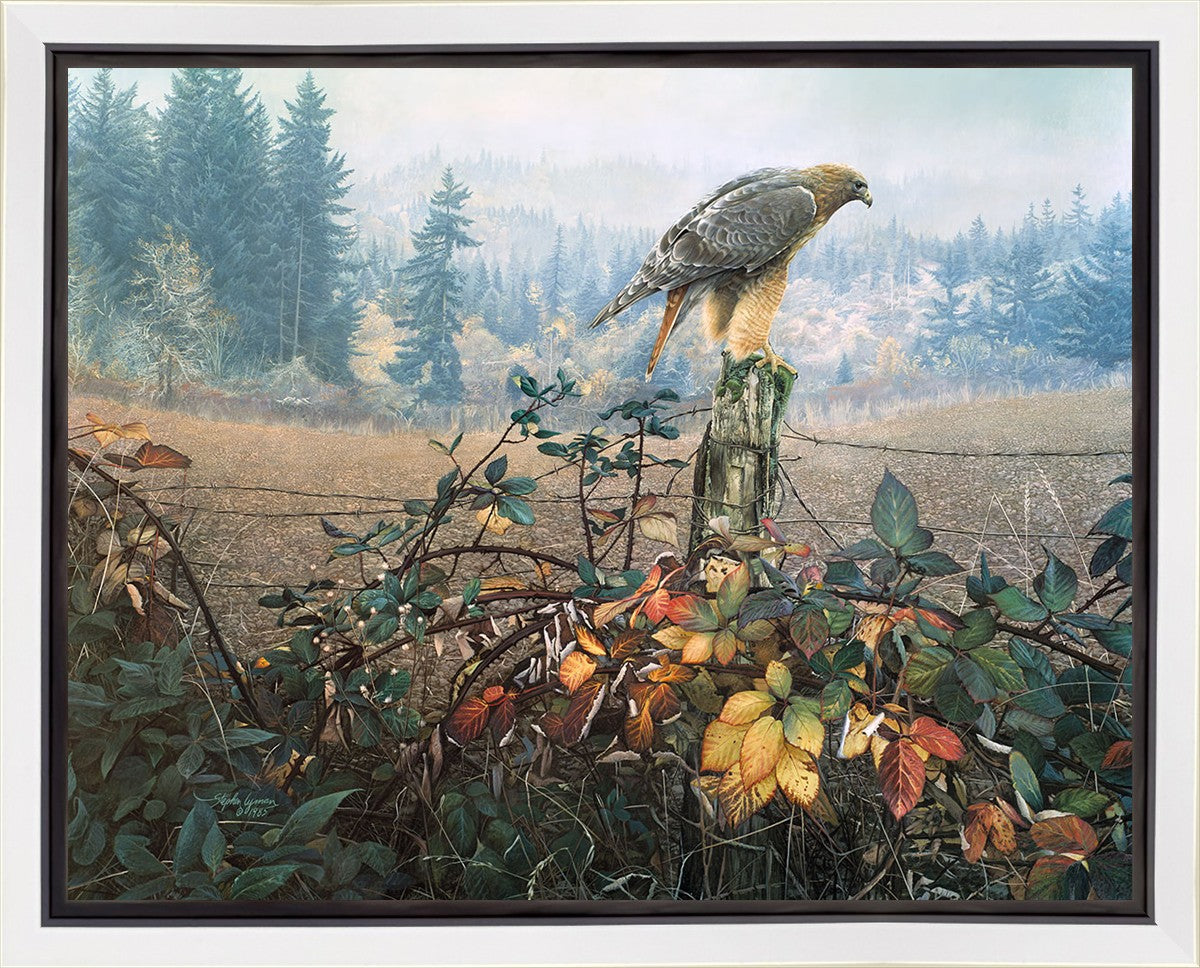 The Raptor's Watch