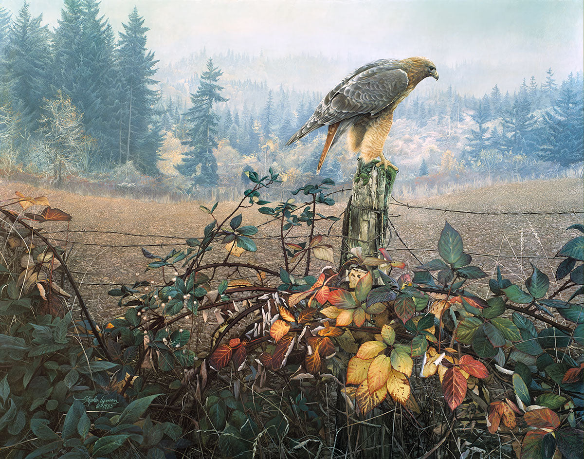 The Raptor's Watch