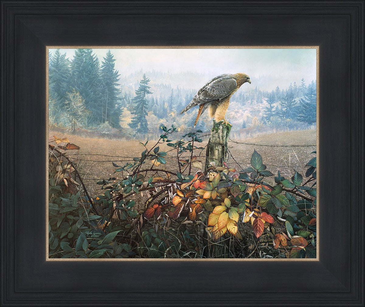 The Raptor's Watch