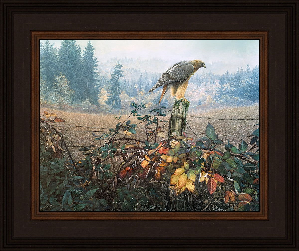 The Raptor's Watch