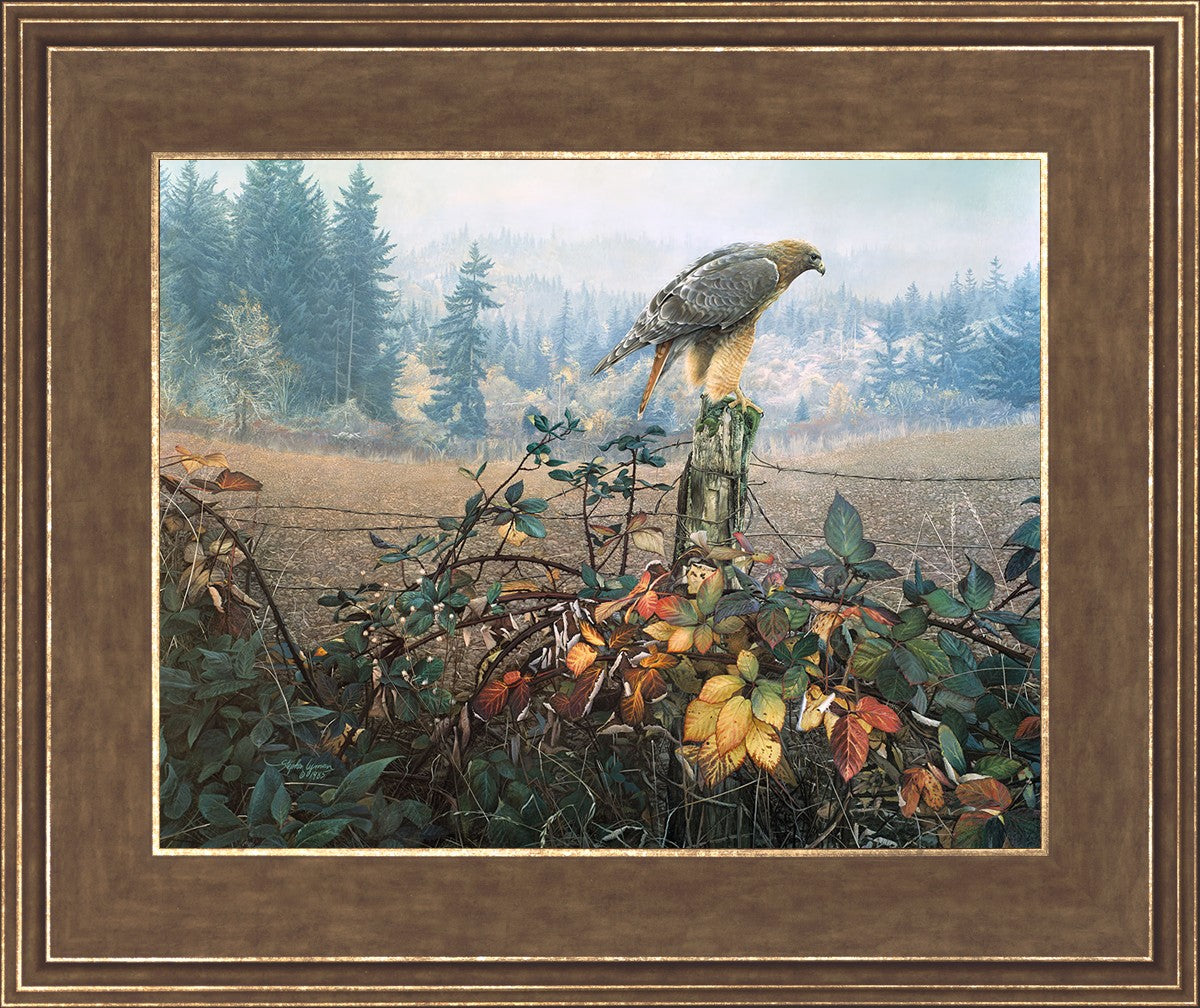 The Raptor's Watch