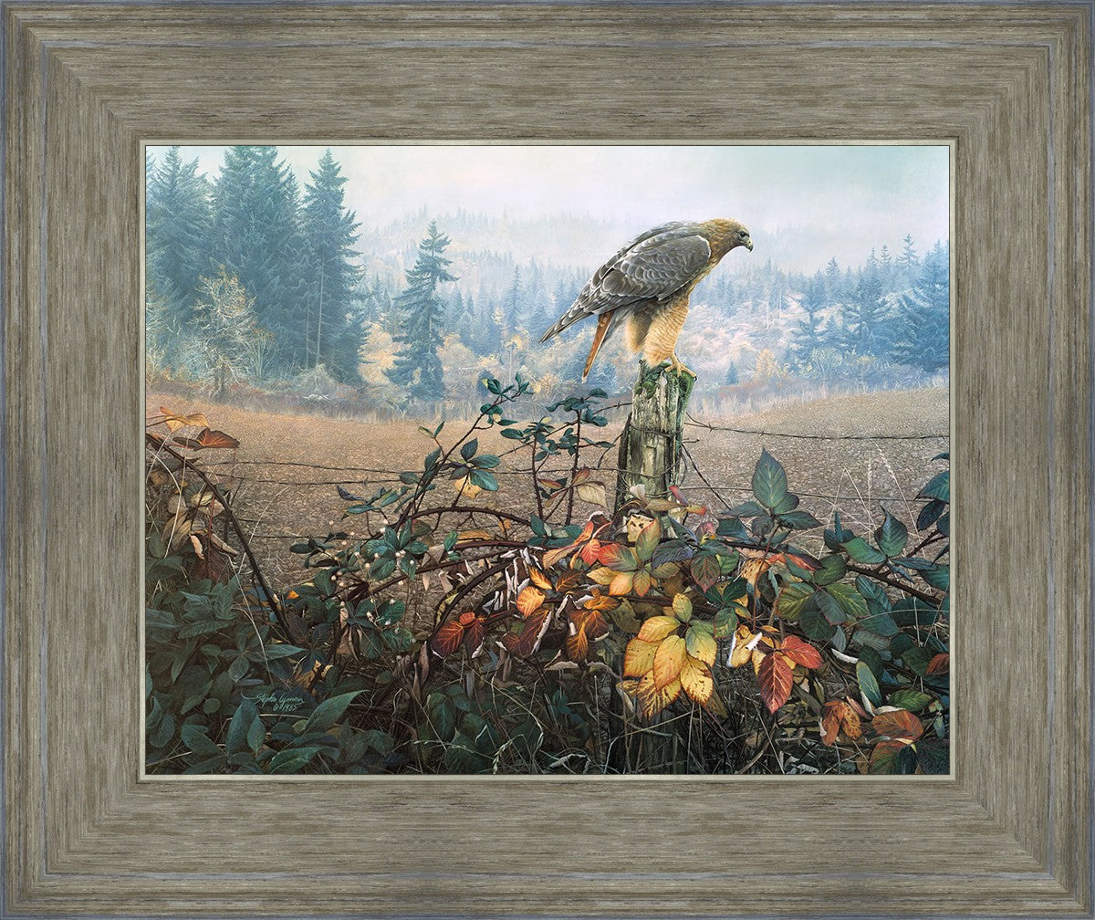 The Raptor's Watch