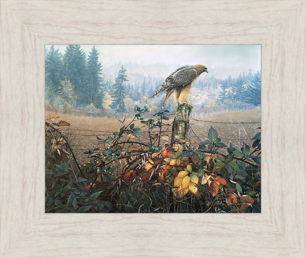 The Raptor's Watch