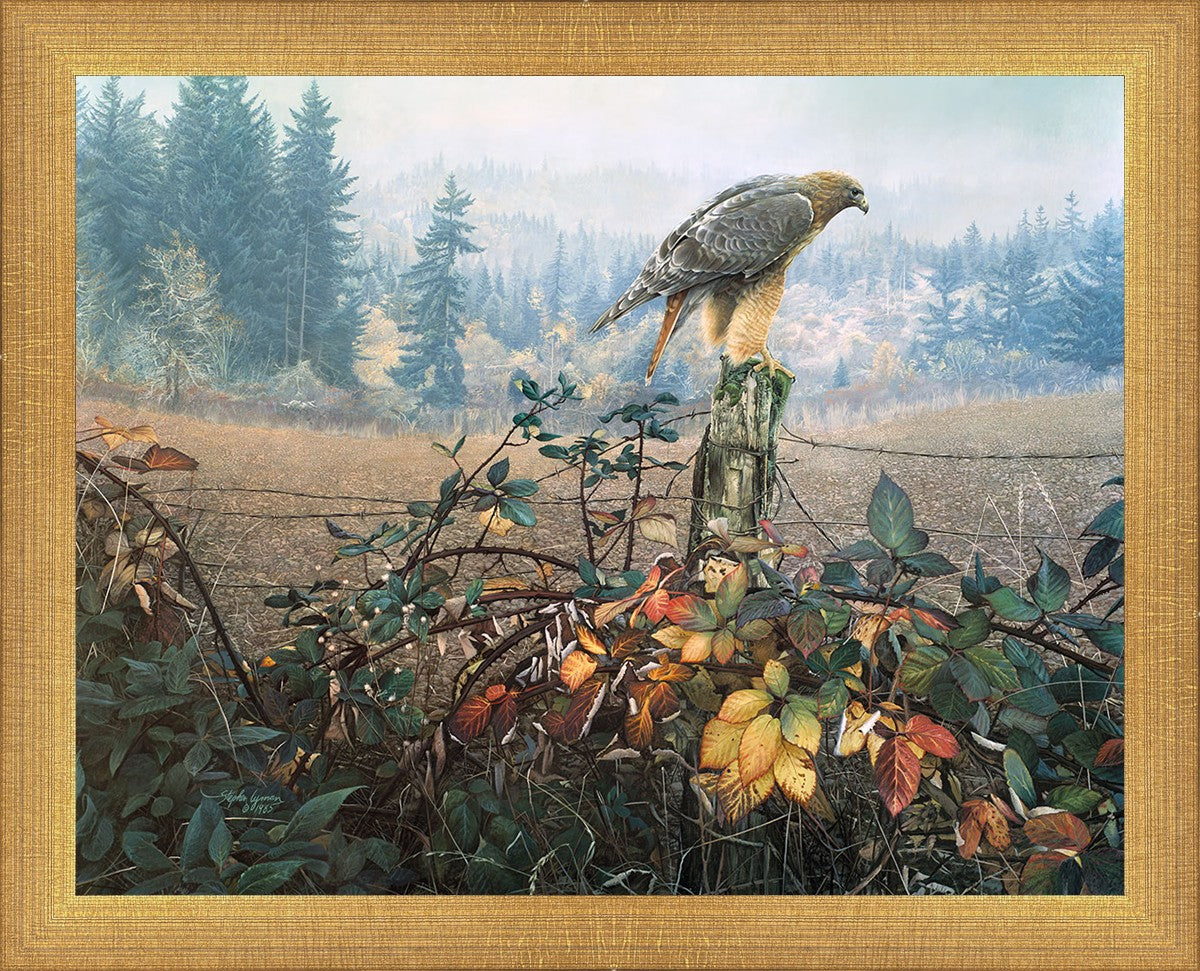 The Raptor's Watch