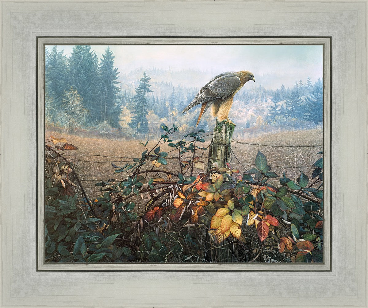 The Raptor's Watch