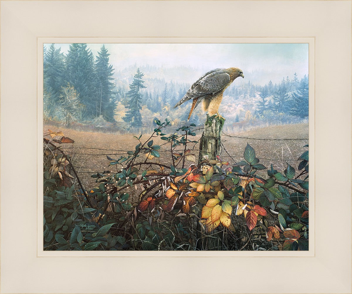 The Raptor's Watch