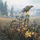 The Raptor's Watch