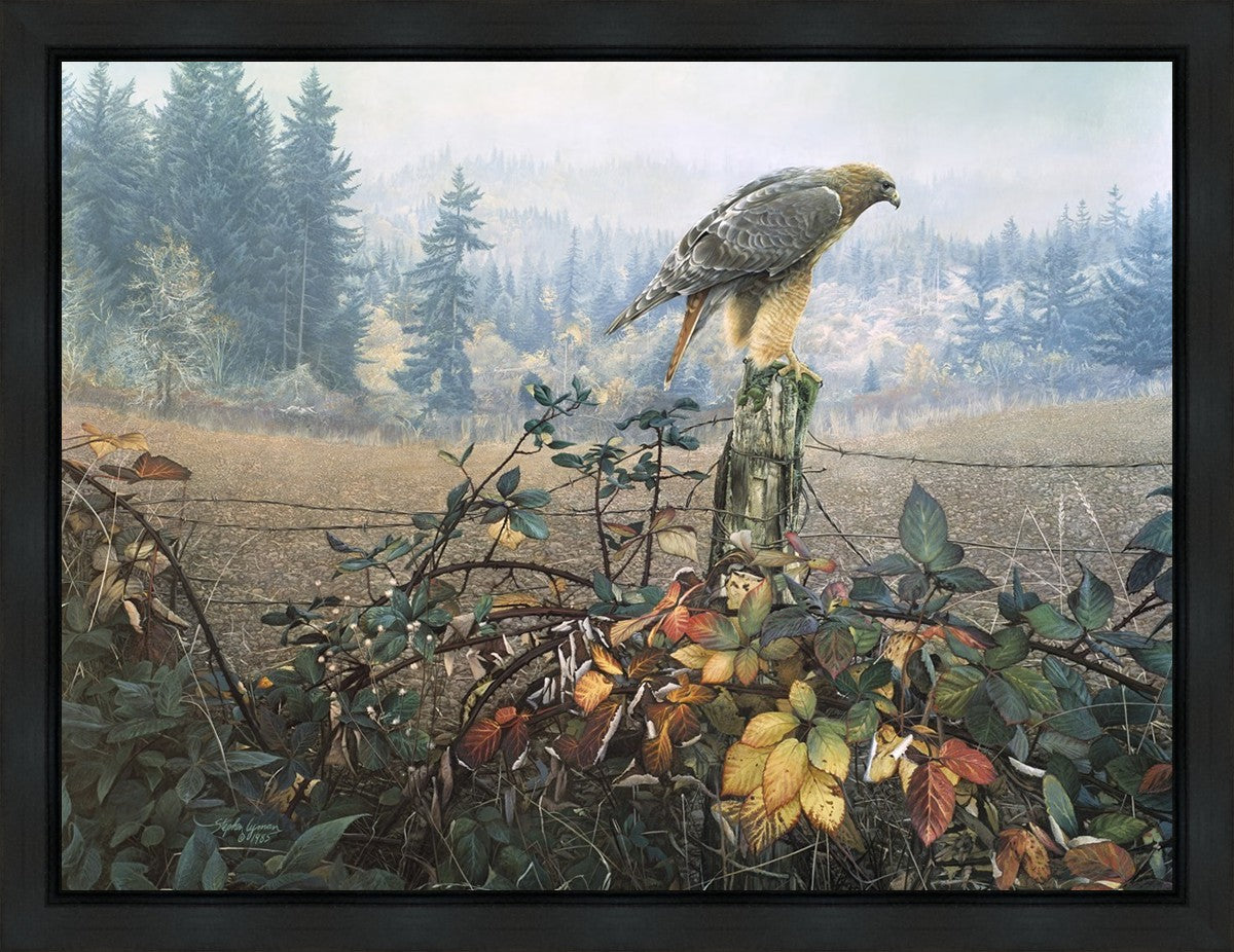 The Raptor's Watch