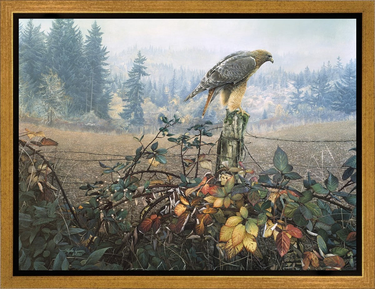 The Raptor's Watch