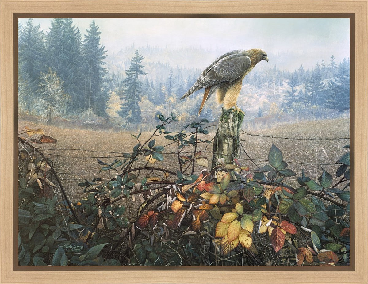 The Raptor's Watch