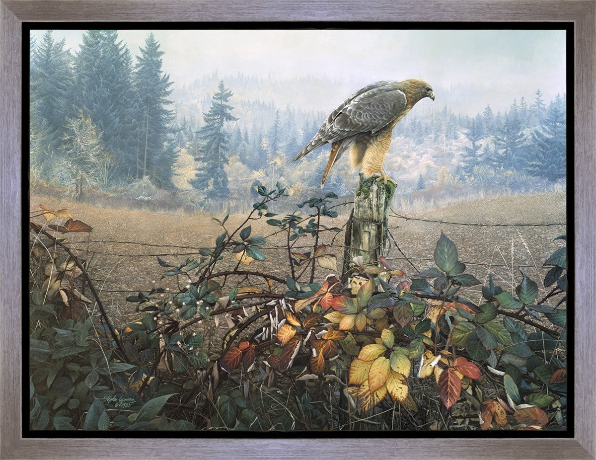 The Raptor's Watch