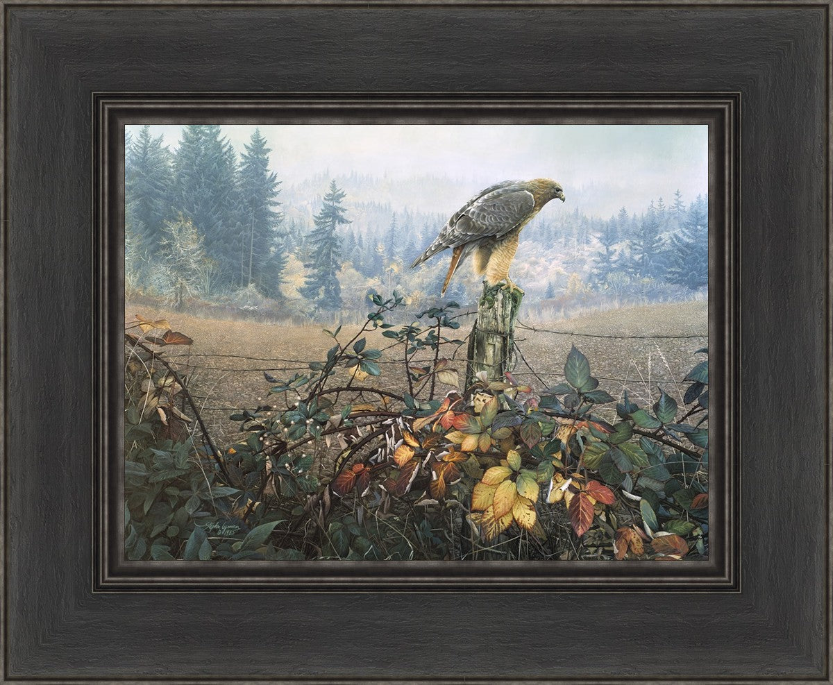 The Raptor's Watch