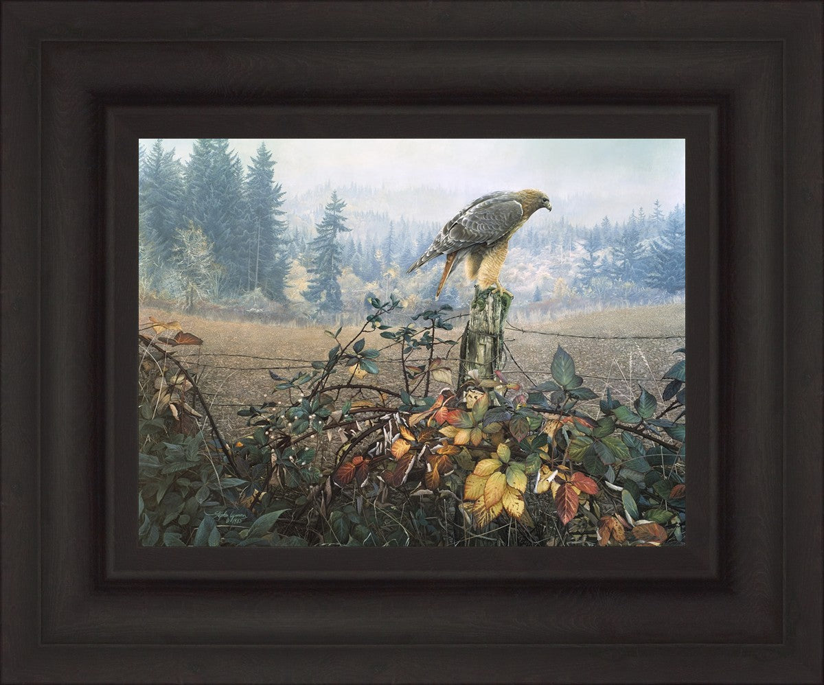 The Raptor's Watch
