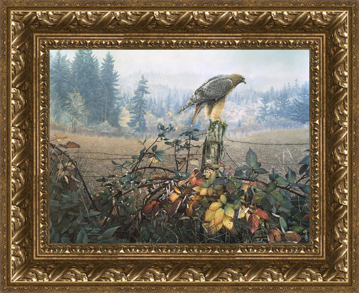 The Raptor's Watch