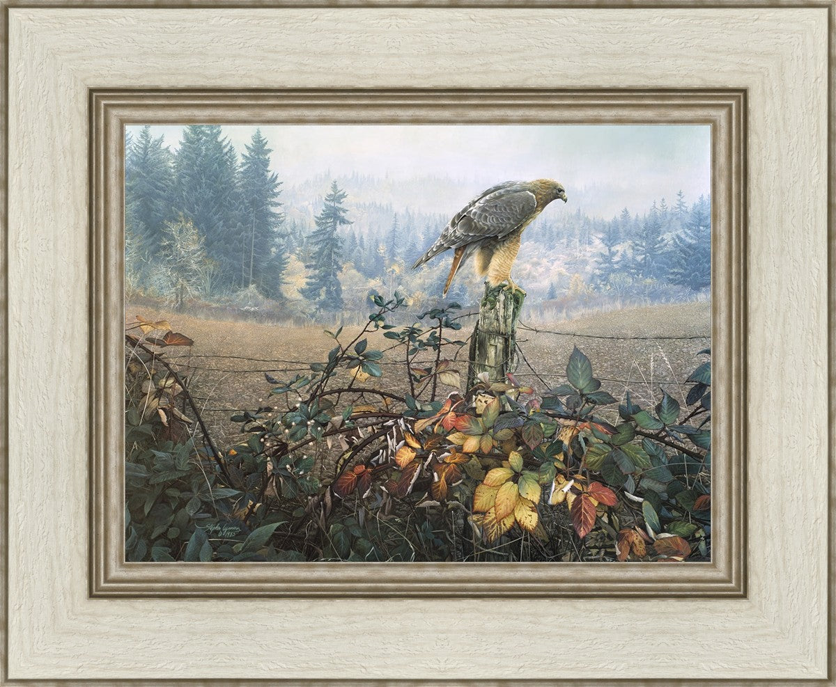 The Raptor's Watch