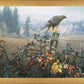 The Raptor's Watch