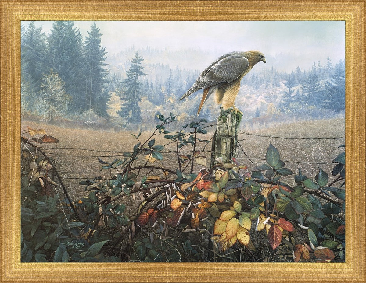 The Raptor's Watch