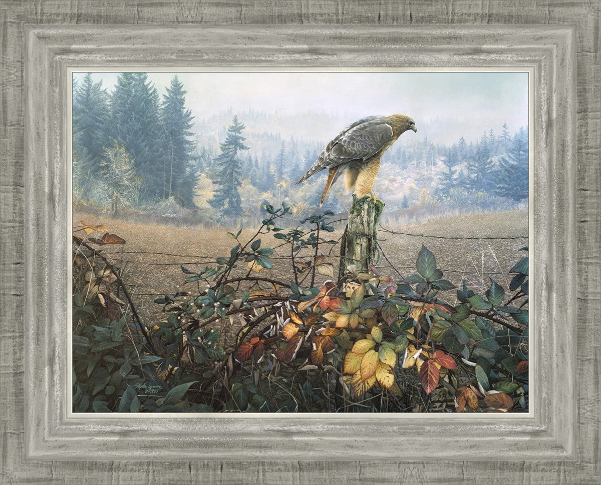 The Raptor's Watch