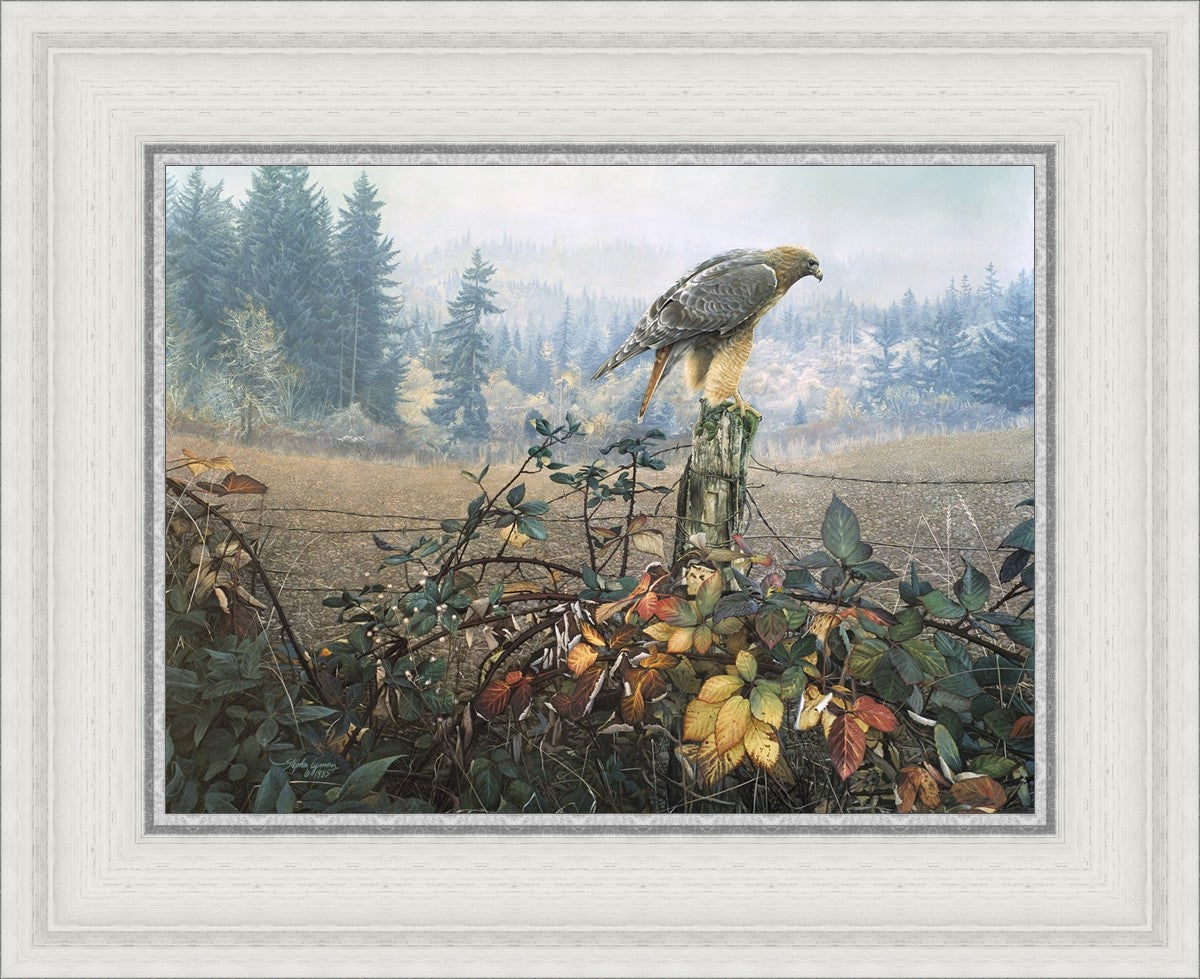 The Raptor's Watch