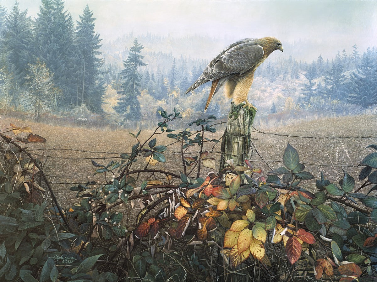 The Raptor's Watch