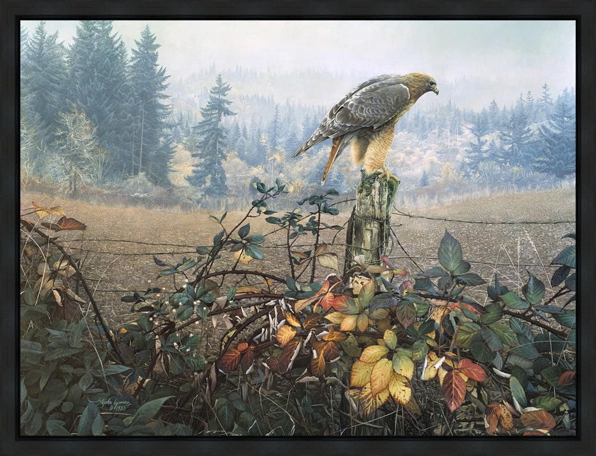 The Raptor's Watch