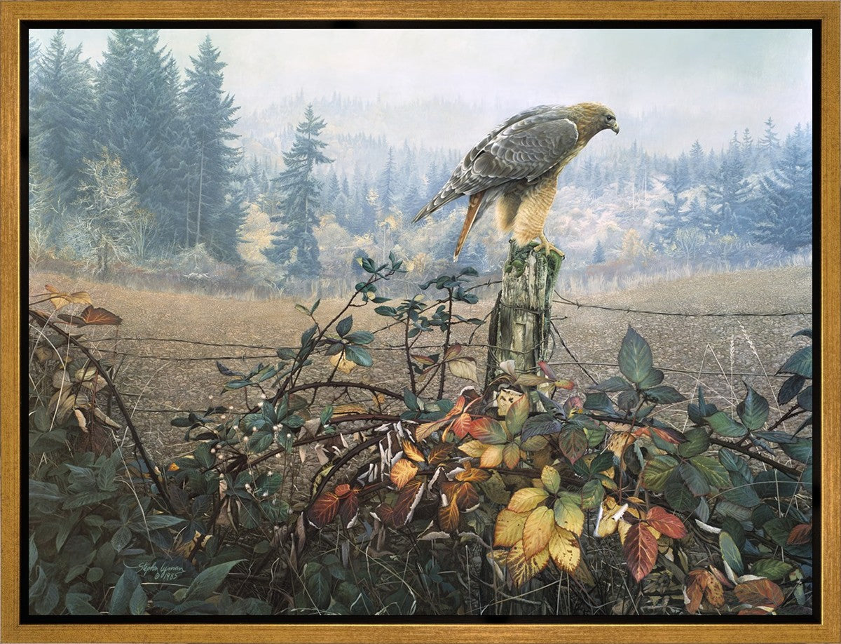 The Raptor's Watch