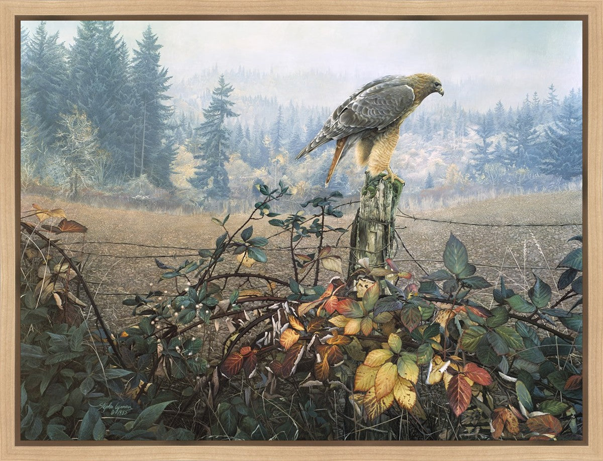 The Raptor's Watch