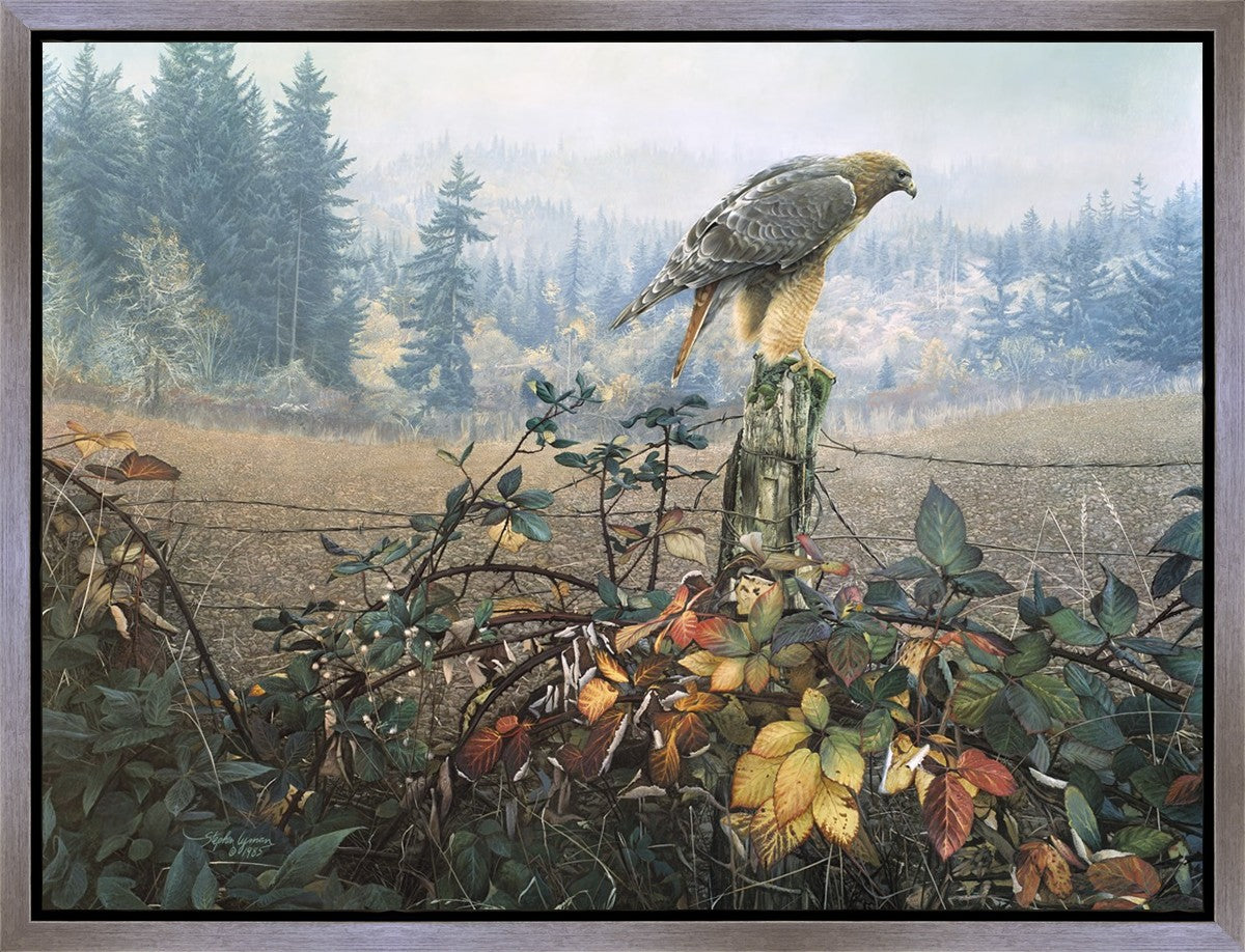 The Raptor's Watch