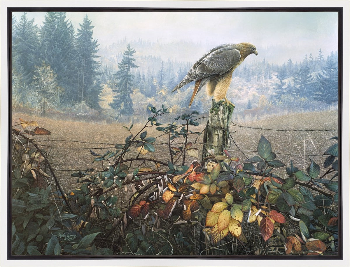 The Raptor's Watch