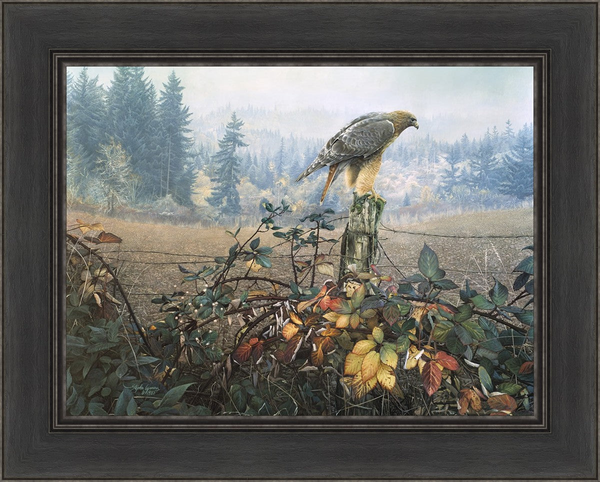 The Raptor's Watch