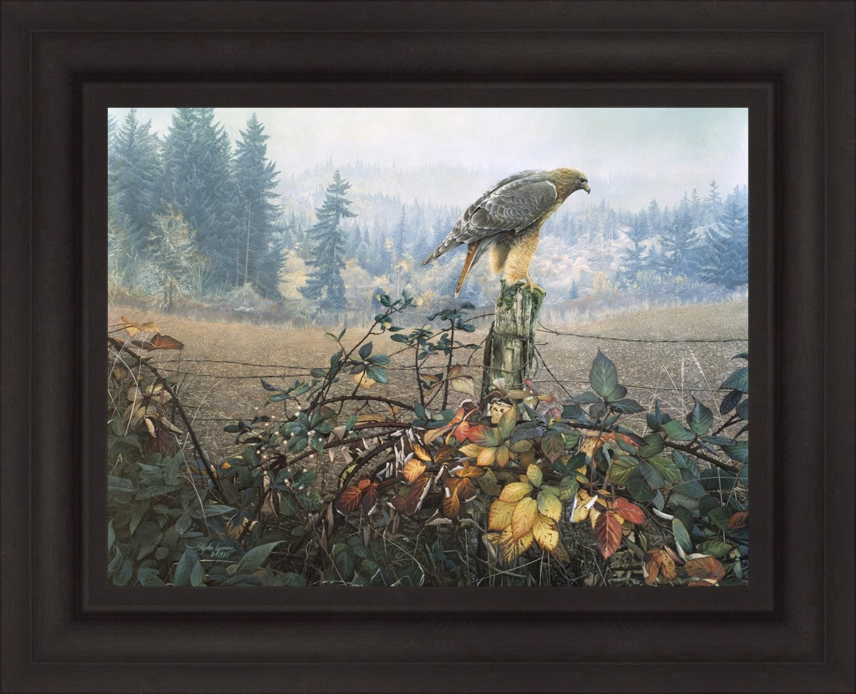 The Raptor's Watch